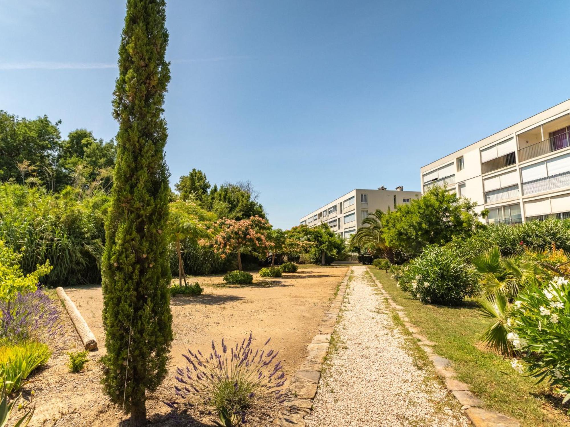 Apartment Les Roses Lauriers By Interhome Le Lavandou Eksteriør billede
